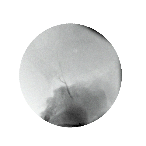 NovaTechs hero animation